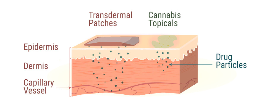 Topicals sind mit einer Vielzahl von Cannabinoiden versetzt