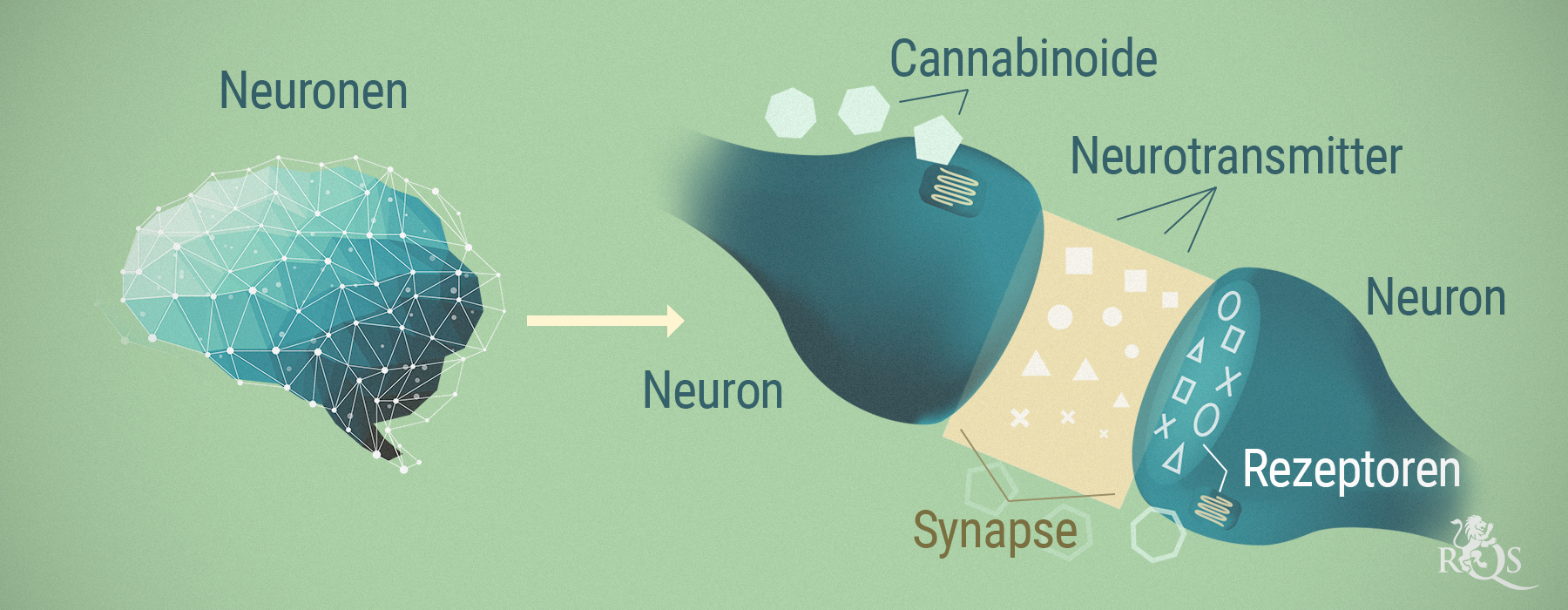 CBD UND SCHIZOPHRENIE CBD UND SCHIZOPHRENIE