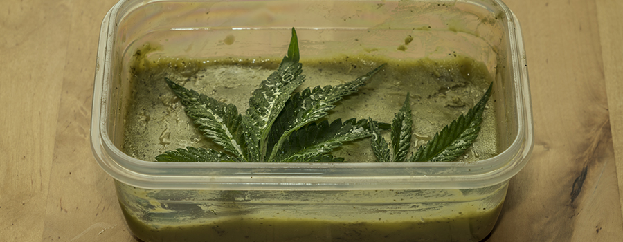 Greenout Symptome Cannabis Esswaren Greenout Symptome Cannabis Esswaren