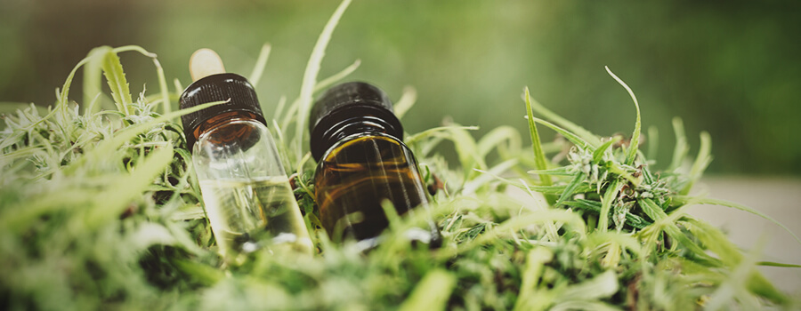 CBD Oil CBD Oil