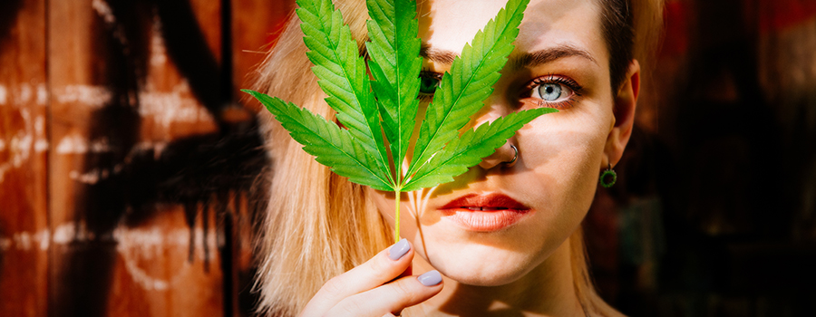 ehrliche Konversation Eltern Cannabis ehrliche Konversation Eltern Cannabis