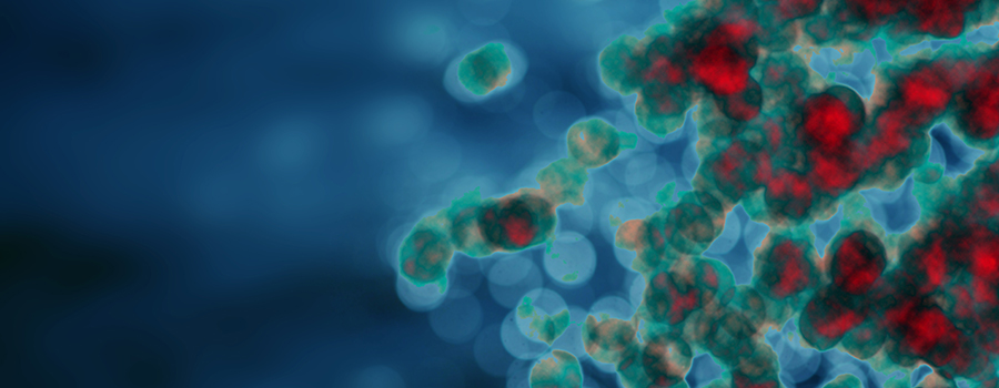 Cannabis und Immunsystem Cannabis und Immunsystem