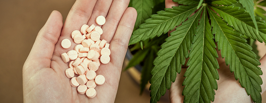 Sichere Schmerzmittel Cannabis statt Opioide Sichere Schmerzmittel Cannabis statt Opioide