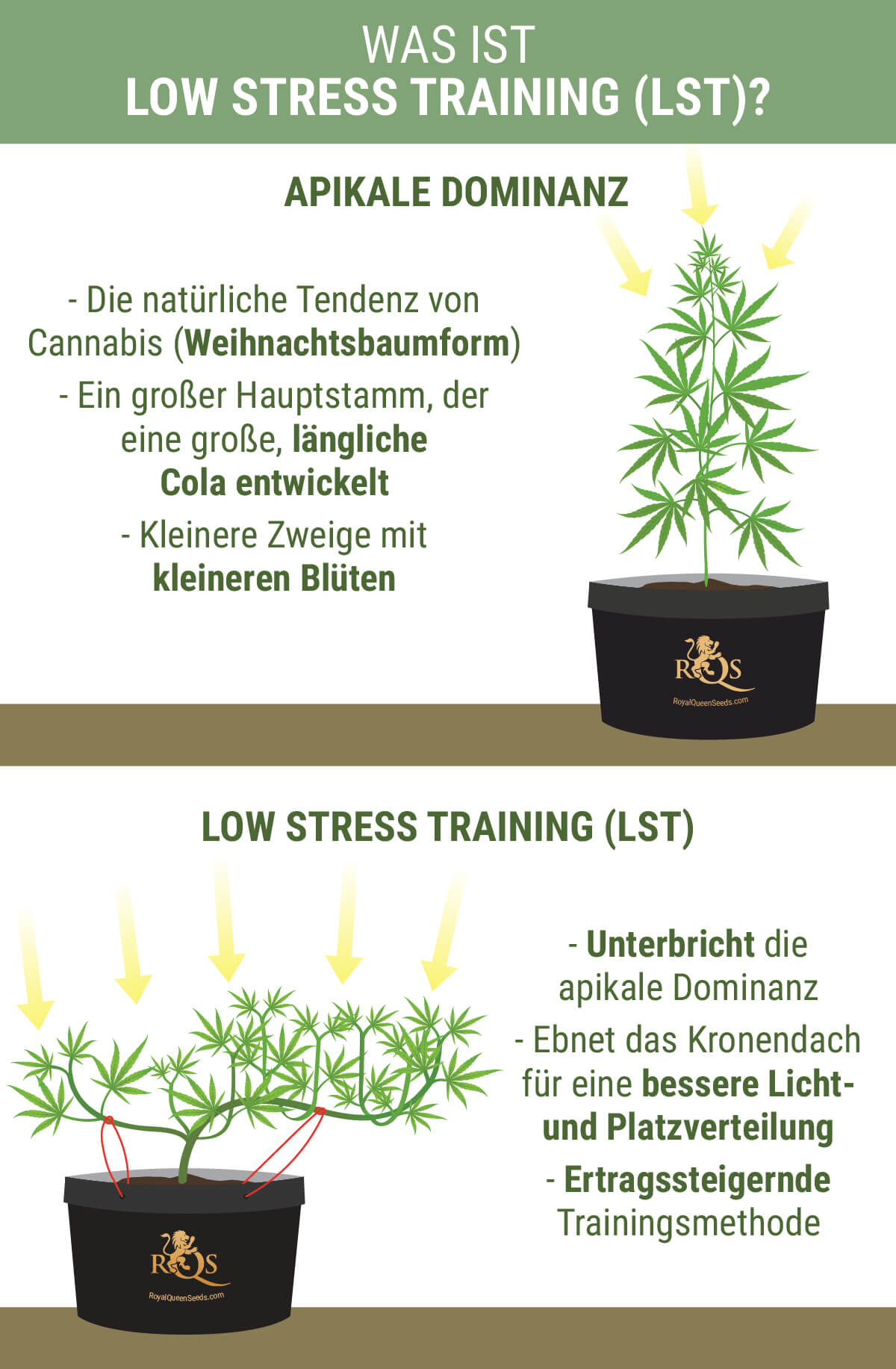 Was Is Low Stress Training?