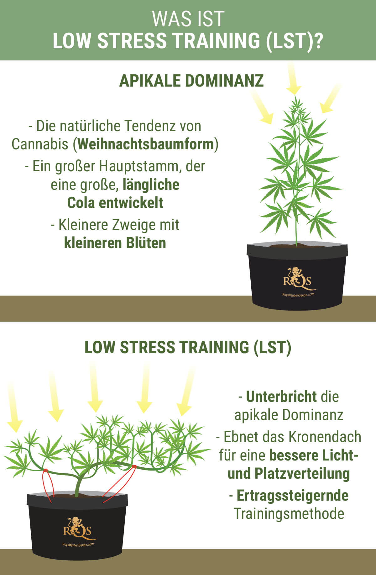 Was Is Low Stress Training? Was Is Low Stress Training?