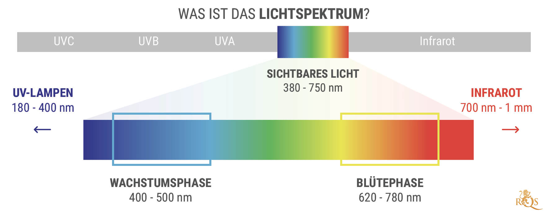 Was Ist Das Lichtspektrum?