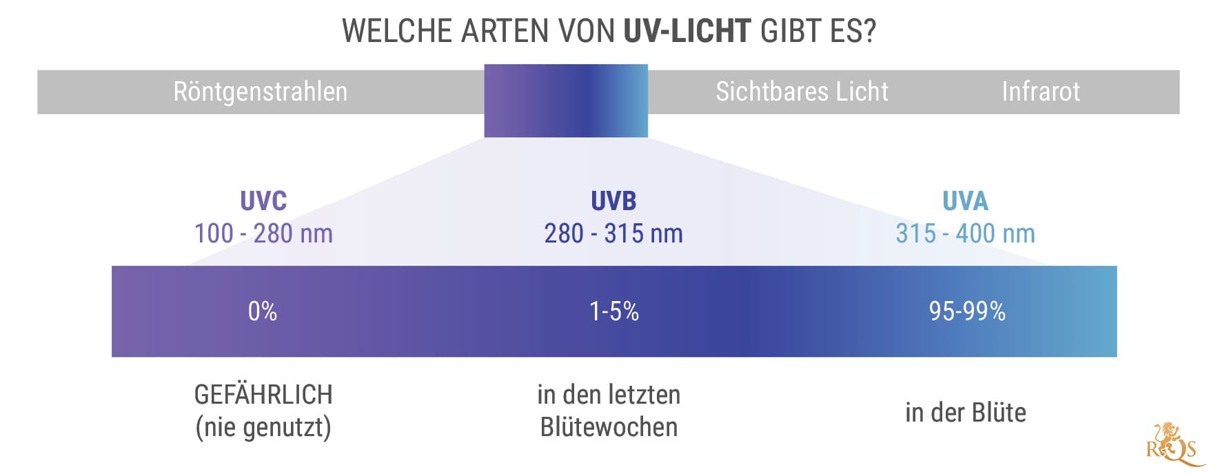 Welche Arten von UV-Licht gibt es?