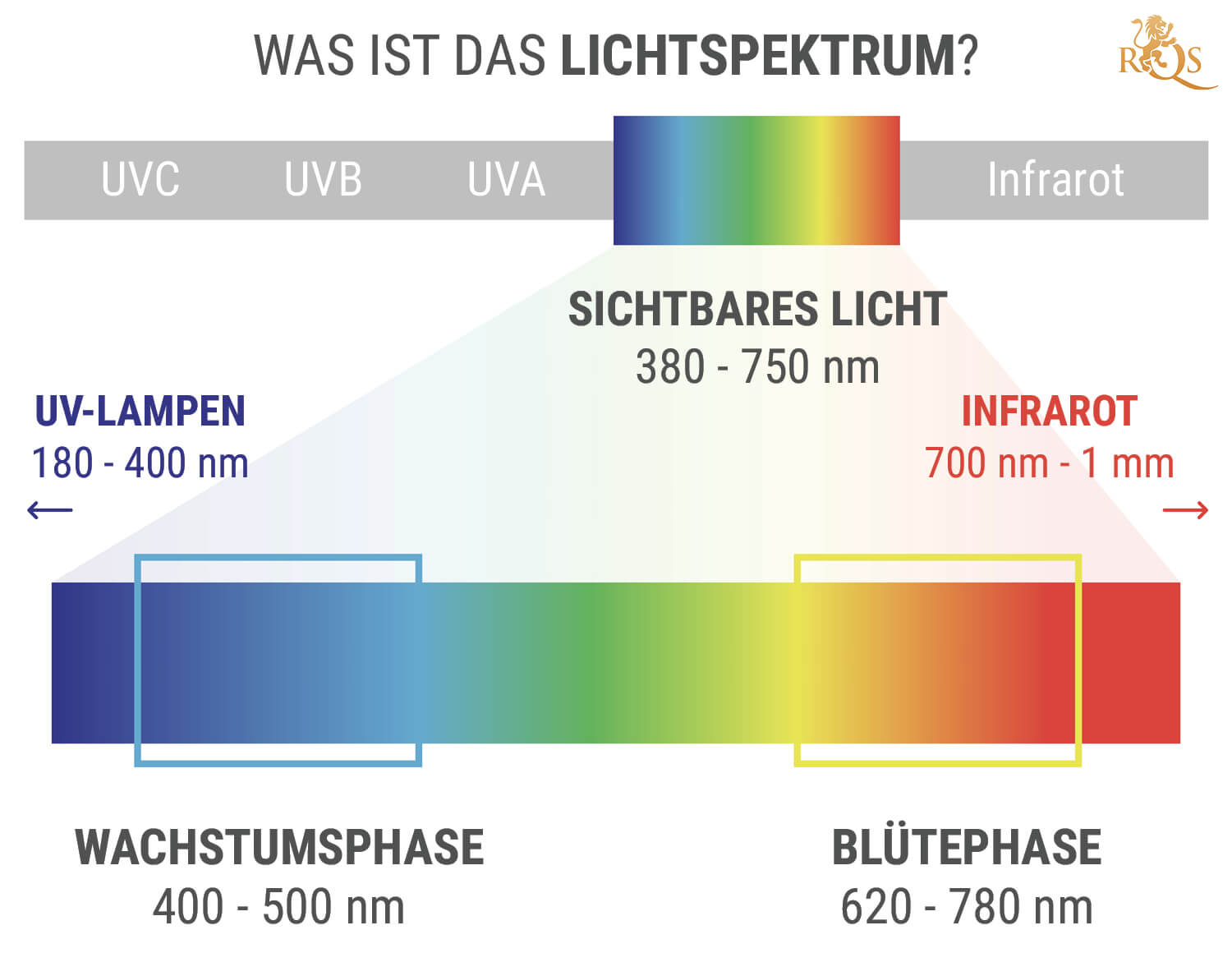 Was Ist Das Lichtspektrum?