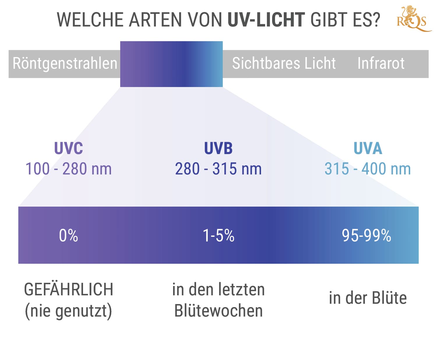 Welche Arten von UV-Licht gibt es?