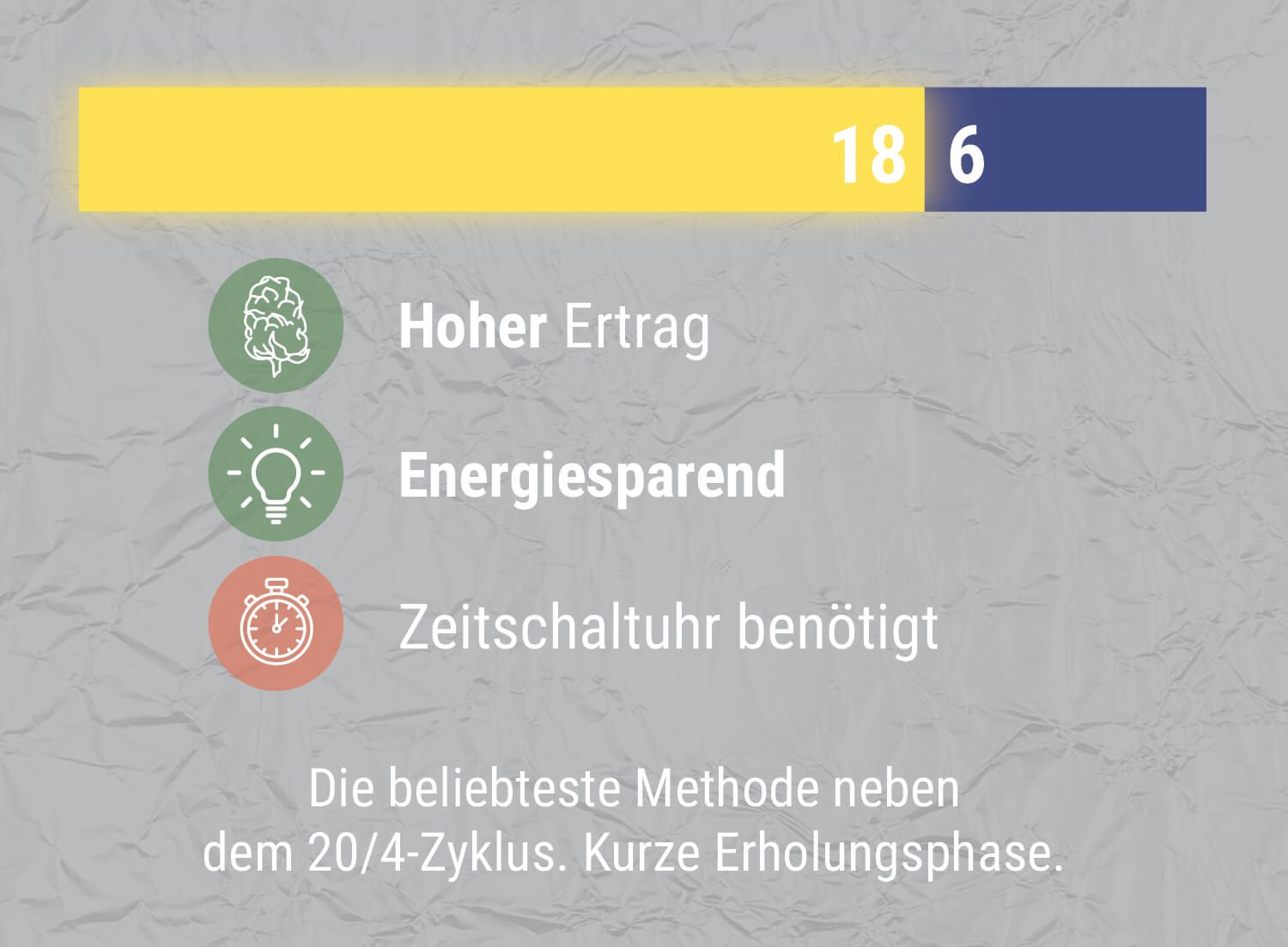 18/6-BELEUCHTUNGSZYKLUS 18/6-BELEUCHTUNGSZYKLUS