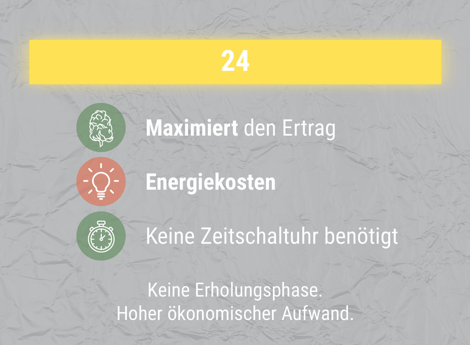24-STUNDEN-BELEUCHTUNGSZYKLUS 24-STUNDEN-BELEUCHTUNGSZYKLUS
