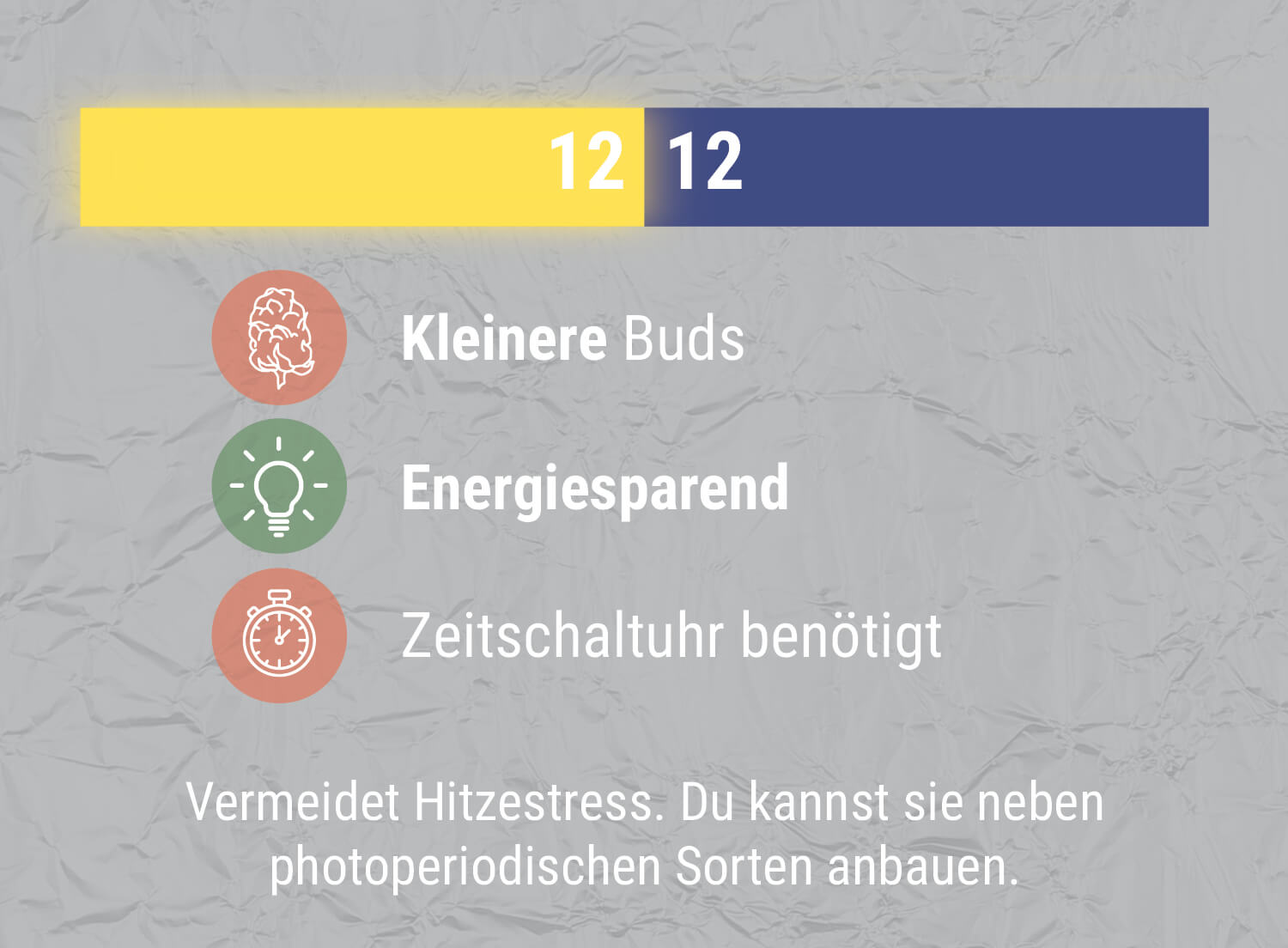 WAS IST MIT EINEM 12/12-BELEUCHTUNGSZYKLUS?