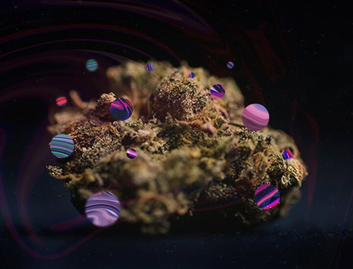 Was ist ein Cannabis-Horrortrip? Was ist ein Cannabis-Horrortrip?