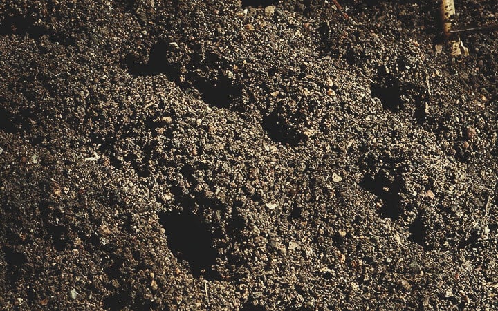 Erdhügel Erdhügel