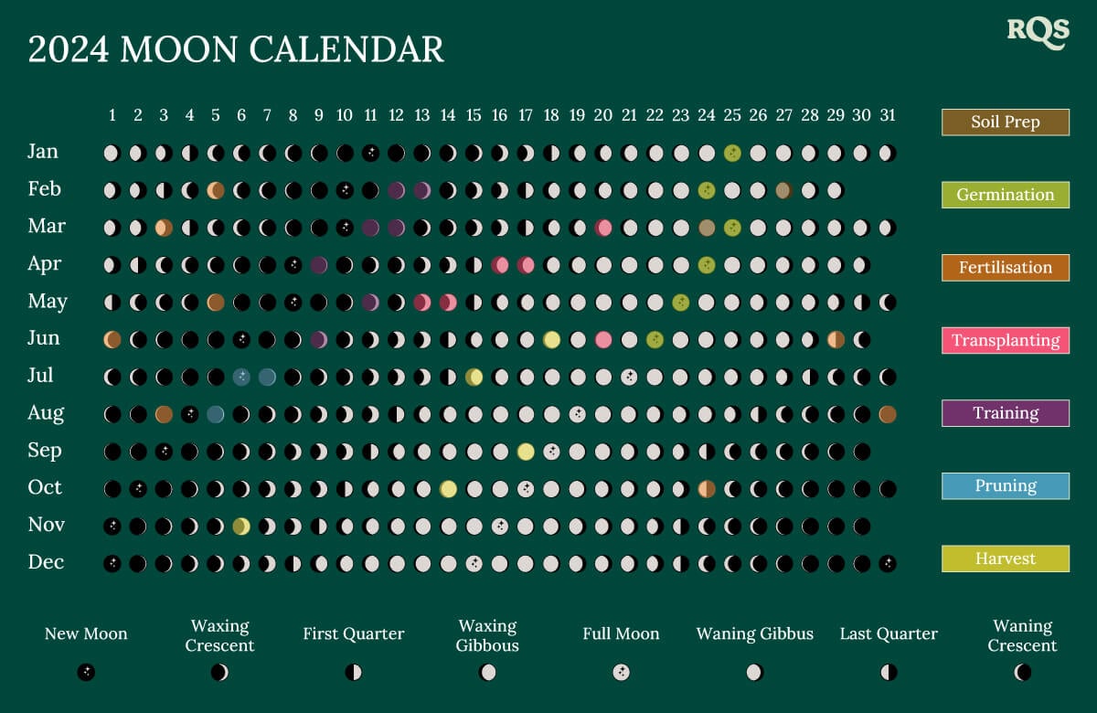 MOON CALENDAR