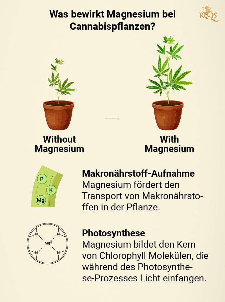 Magnesium benefits for cannabis plants