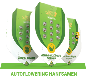 autoflowering-cannabis-hanfsamen