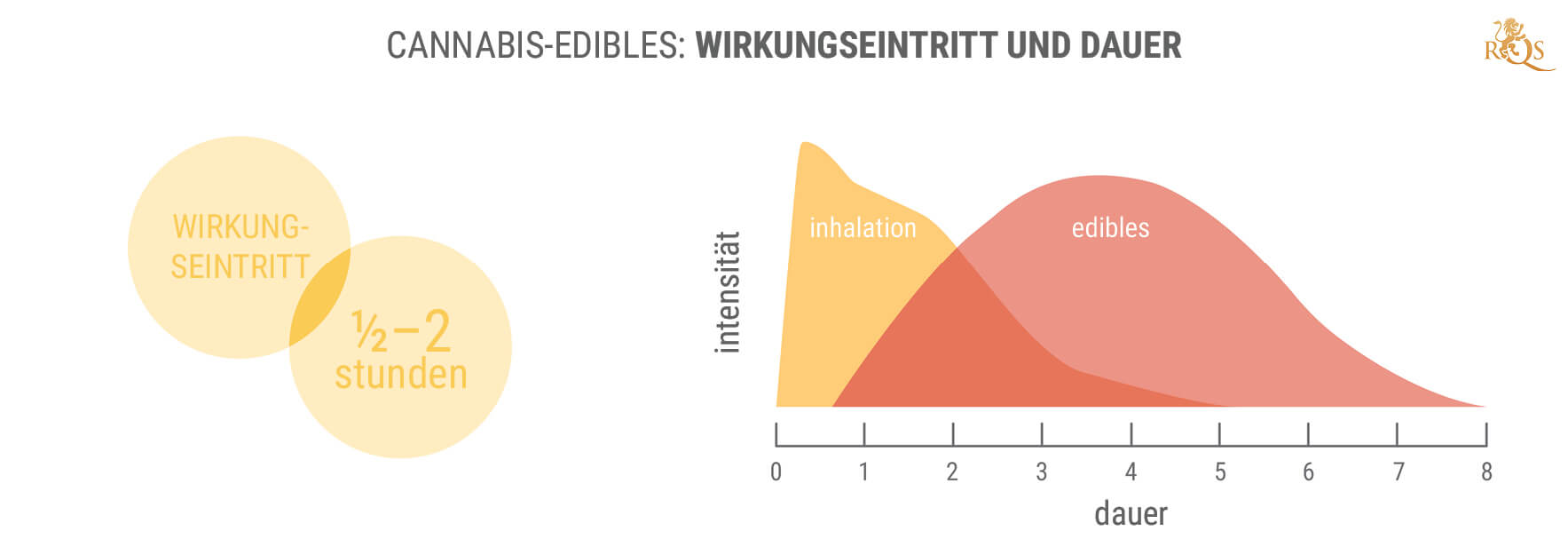 Die Vorteile von 11-Hydroxy-THC und Edibles