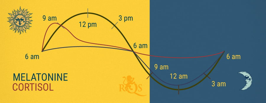 Melatonin und Cortisol 