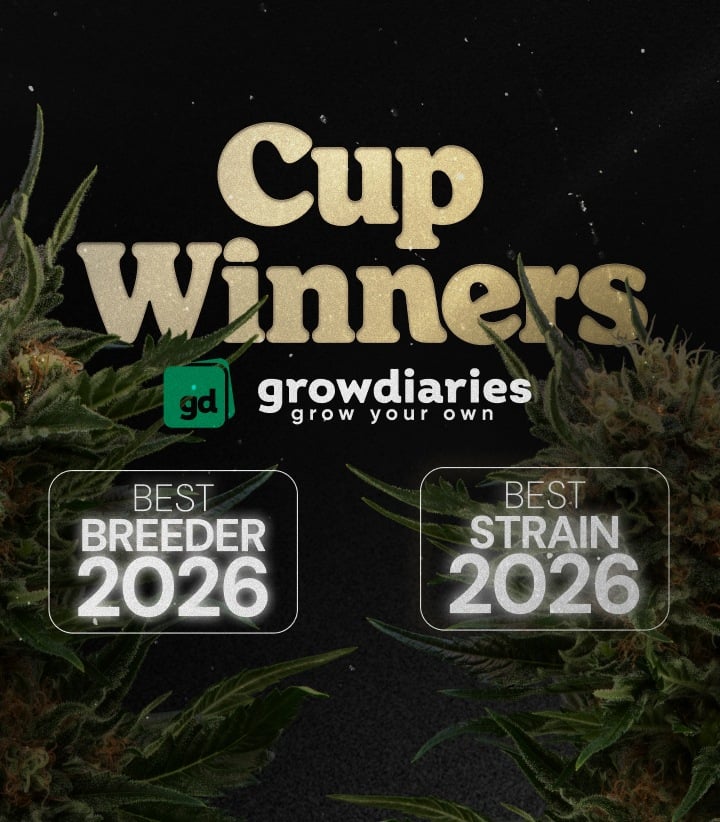Cup Winners 2026 Cannabis-Awards Banner mit bester Sorte und bestem Breeder, Cannabisblüten und GrowDiaries-Logo