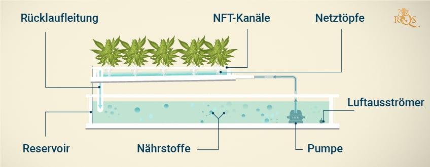 Nutrient Film Technique (NFT) Hydroponic System