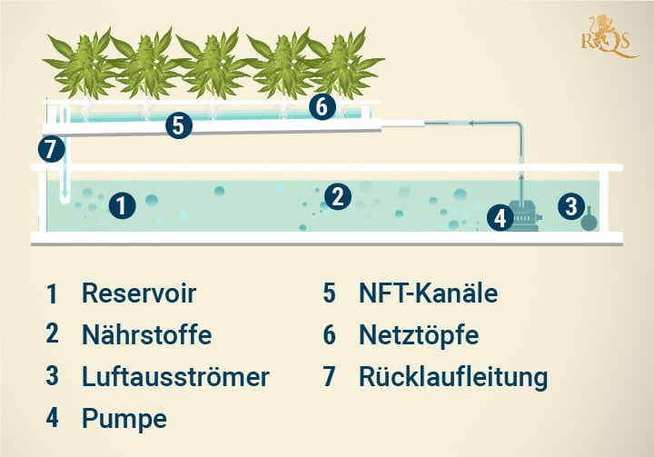 Nutrient Film Technique (NFT) Hydroponic System