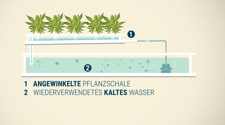 Nährfilmtechnik (NFT) Nährfilmtechnik (NFT)