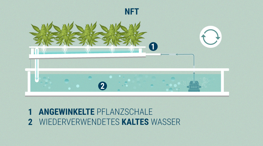 Nutrient Film-techniek Nutrient Film-techniek