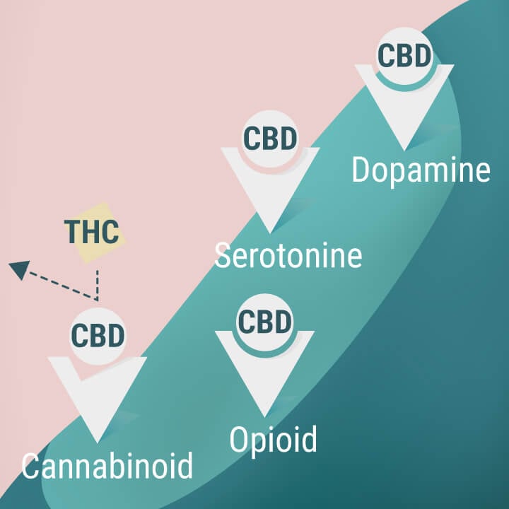 Cannabinoid-, Opioid-, Serotonin- und Dopamin-Rezeptoren