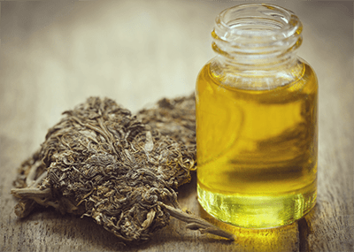 vegan Pesto Cannabisöl infundiert Rezept