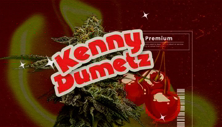 Ursprünge und Geschichte von Cherry Pie Weed Eine Illustration mit einem Cannabisknospe, dem fett gedruckten Text