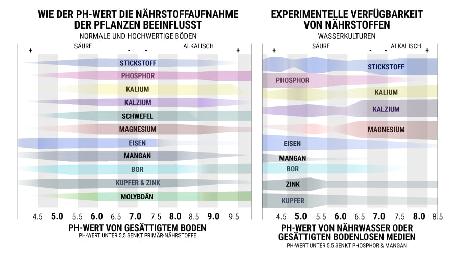 Wie Der PH Wert Die Nährstoffaufnahme Der Pflanzen Beeinflusst