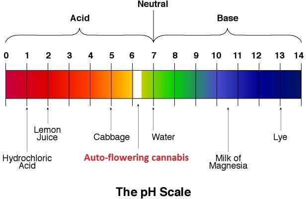 What Causes Drinking Water Acidity What Causes Drinking Water Acidity