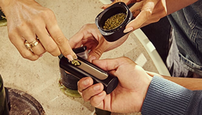 Nachfüllen des Pax Flow Vaporizers Eine Hand, die die Kammer des Pax Flow Vaporizers mit frischem gemahlenem Cannabis aus einer kleinen Schaufel eines Grinders nachfüllt, auf einem Marmortisch für präzises Nachladen platziert.