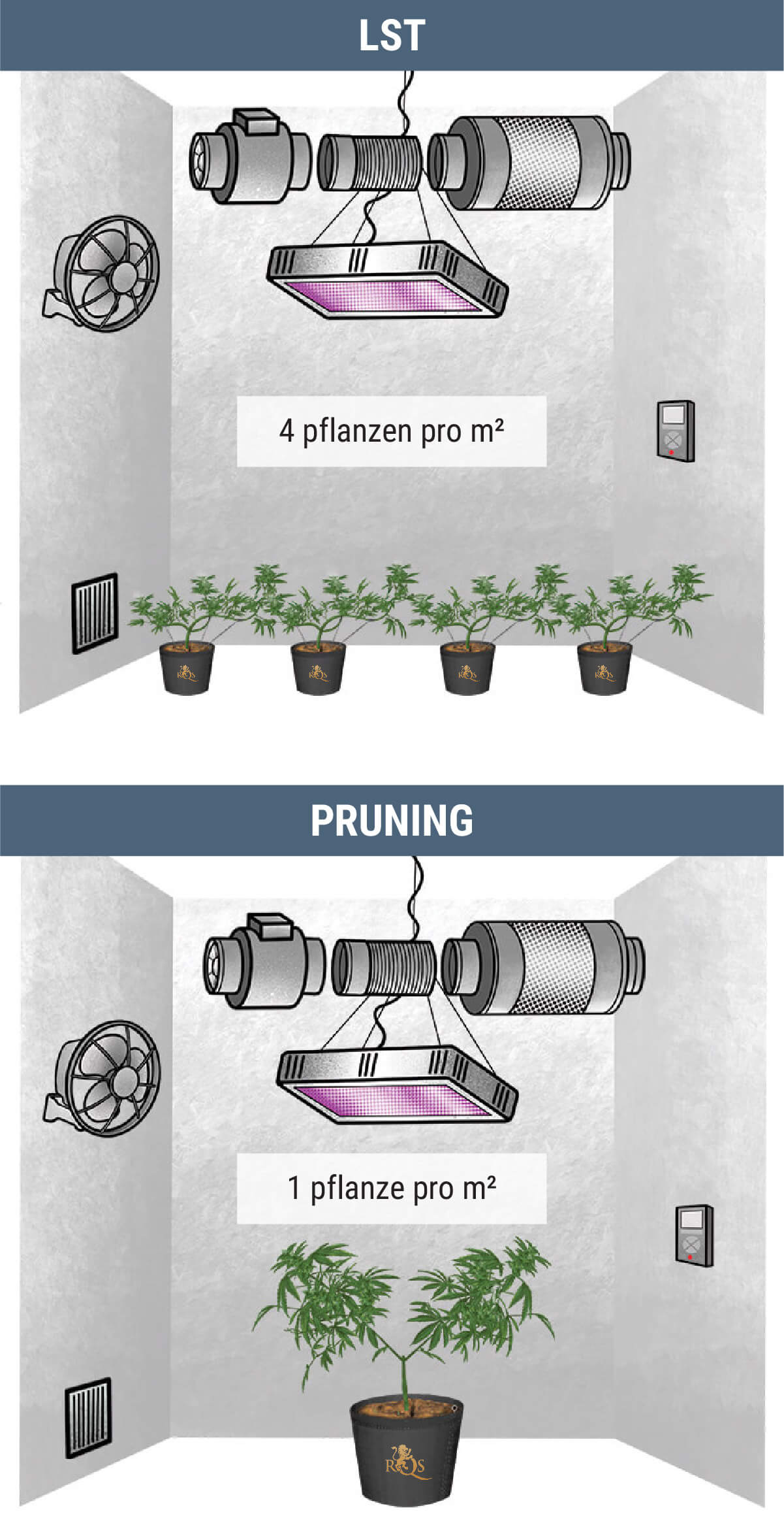 Wie Viele Cannabispflanzen Kann Man Pro Quadratmeter Anbauen?