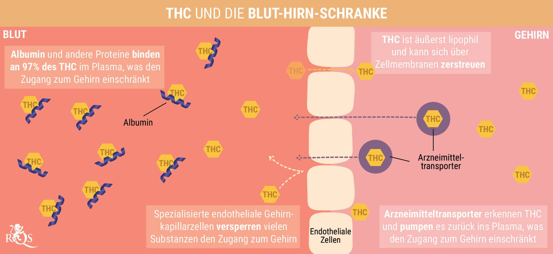 Was ist ein Cannabis-Kater?