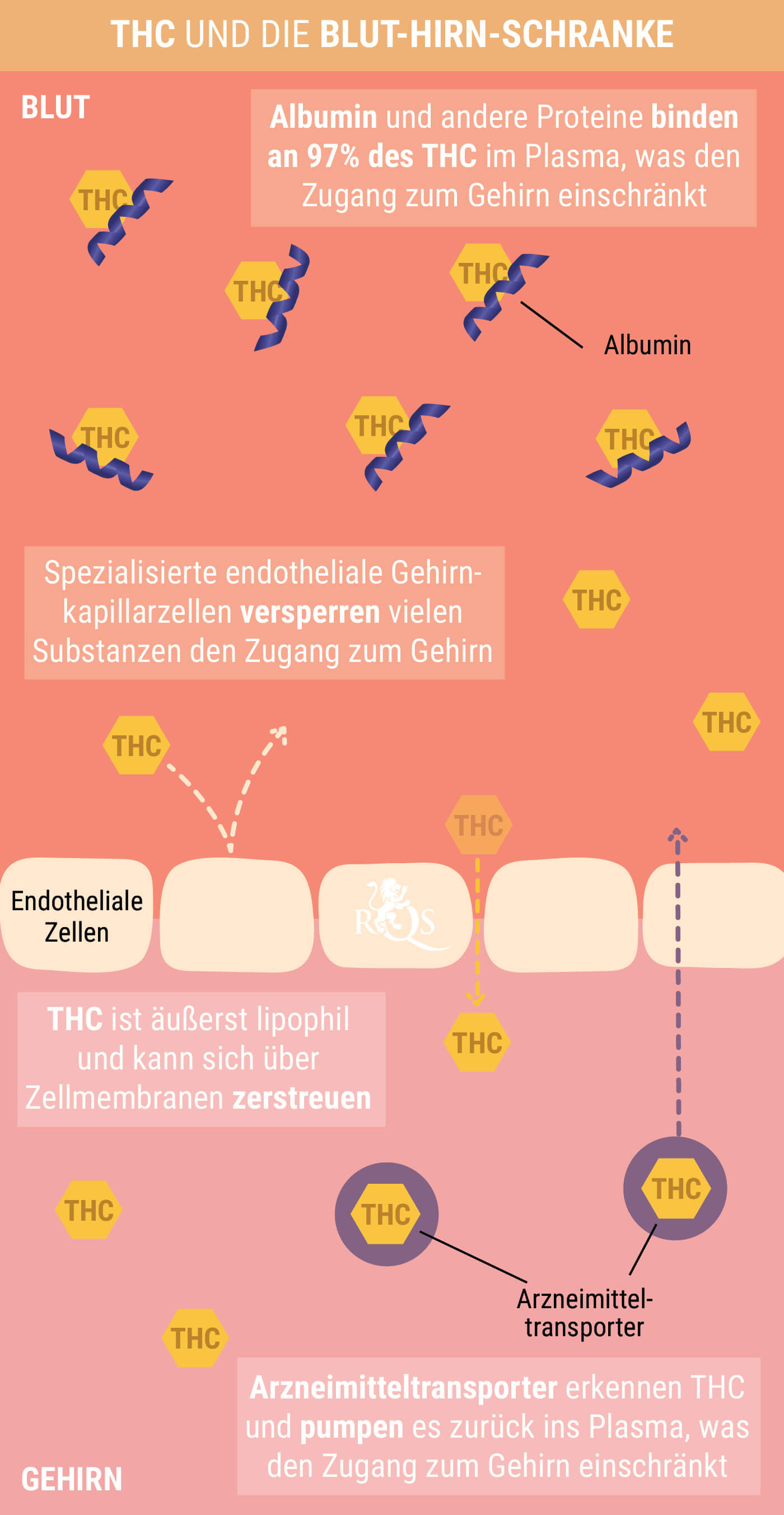 Was ist ein Cannabis-Kater?