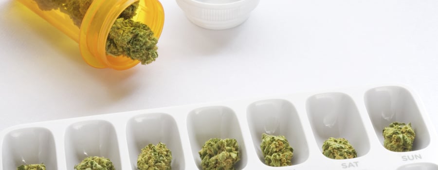Cannabis Regulierung der deutschen Regierung