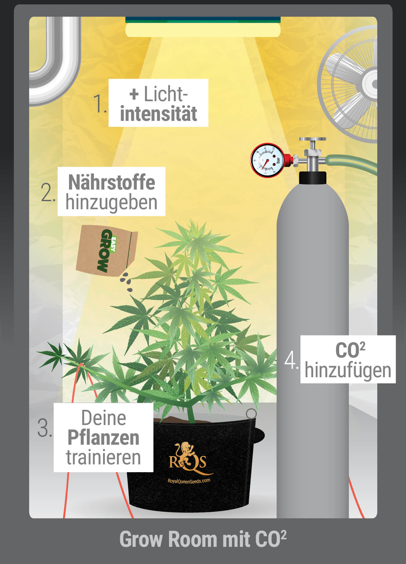 Wann sollte man CO₂ verwenden?