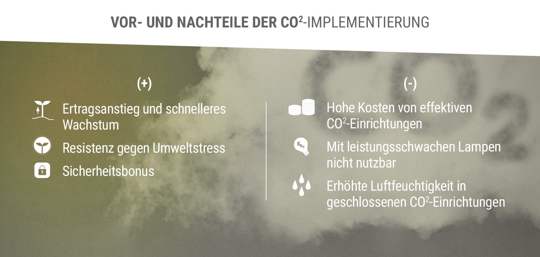 Vor- und Nachteile der CO2-Implementierung