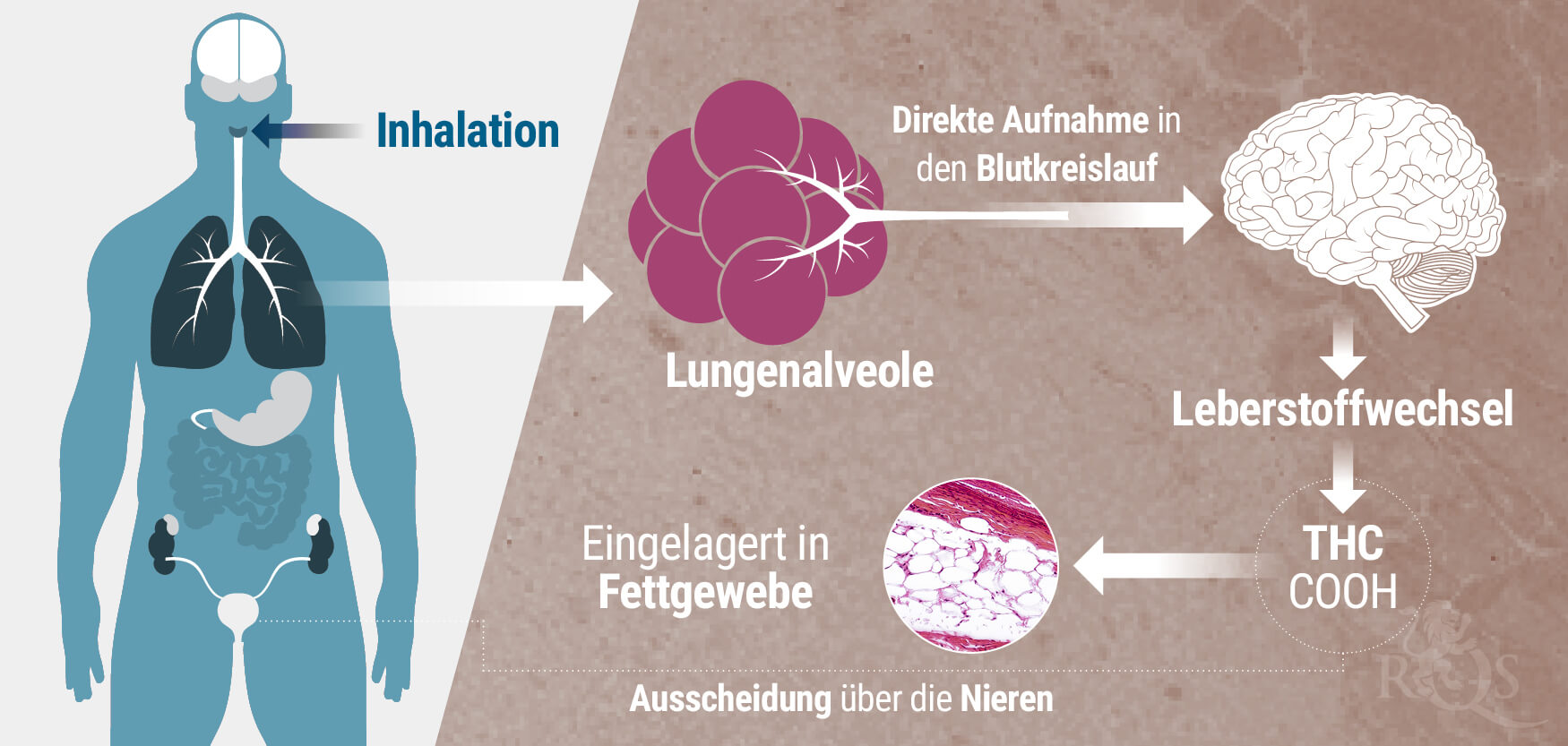 Inhalation