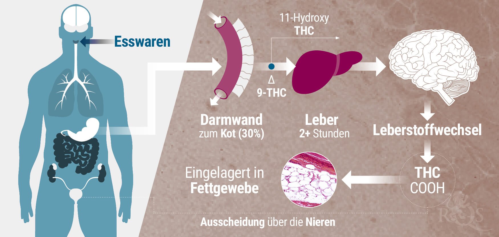Esswaren Esswaren