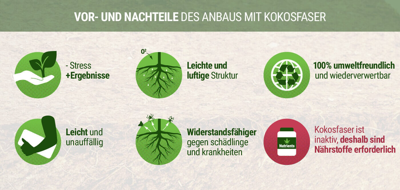 Vor- und Nachteile des Anbaus mit Kokosfaser