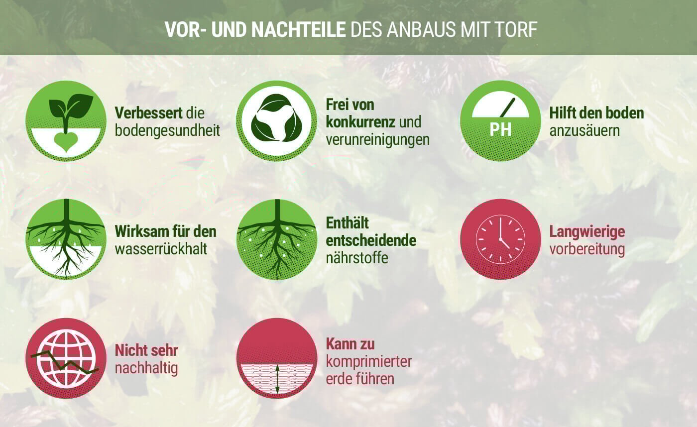 Vor- und Nachteile des Anbaus mit Torf
