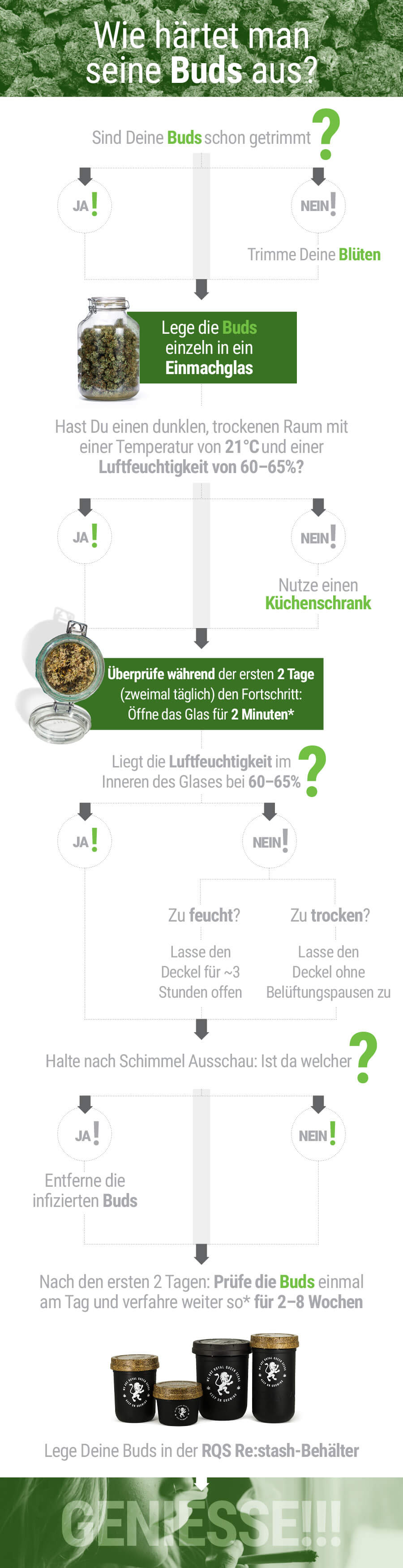 Wie härtet man seine Buds aus? Wie härtet man seine Buds aus?