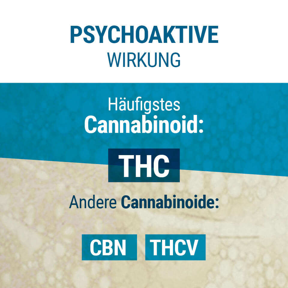 Psychoaktive Wirkung won THC