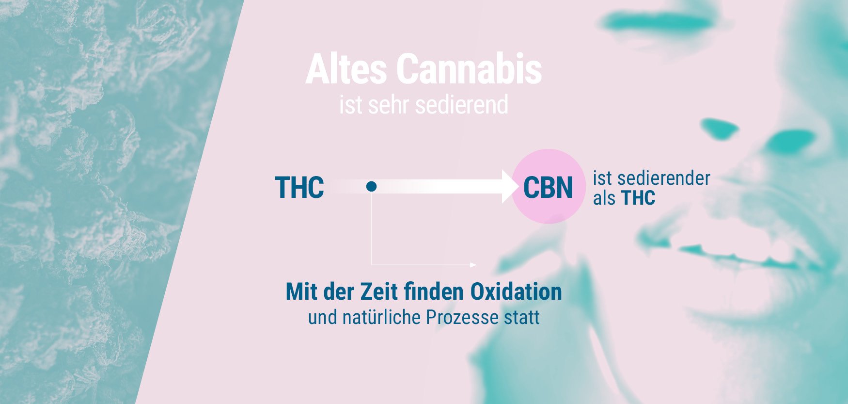Schlafstörungen Schlafstörungen