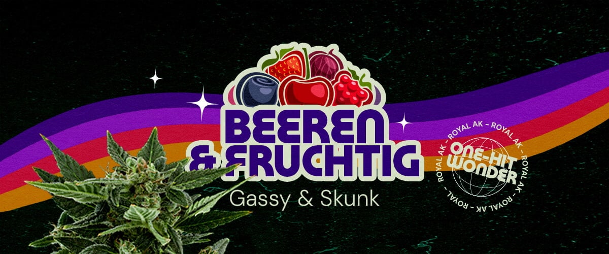 Eine Illustration eines Cannabisknospen mit dem Text 
