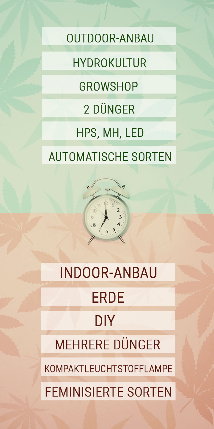 Zeitsparende Tipps für Anbauer mit einem vollen Terminplan Zeitsparende Tipps für Anbauer mit einem vollen Terminplan