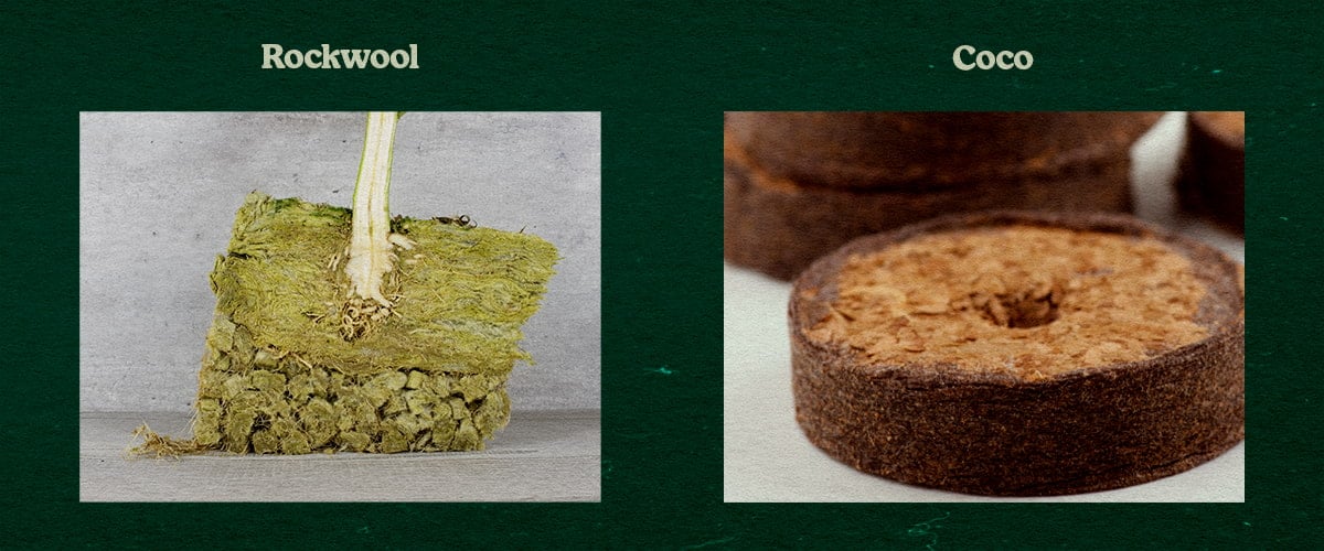 Vergleich Rockwool und Coco Substraten für Pflanzen Vergleich von Rockwool- und Coco-Substraten, mit Pflanze in grünem Rockwool und einem runden Coco-Disk, getestet für Wachstum.